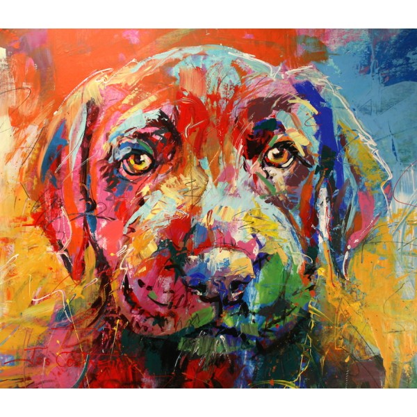 Labrador Puppy